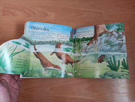 Animal homes - lift the flap, 