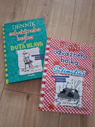 Denník odvážneho bojka, 