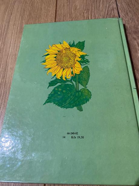 Retro stará rozprávka svrčkove dobrodružstvá,