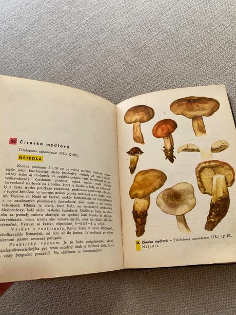 Vreckový atlas húb pilát ušák, 