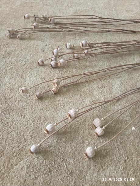 Makovice (už s poštovným),