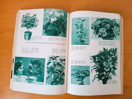 Okrasné rastliny (1960), 