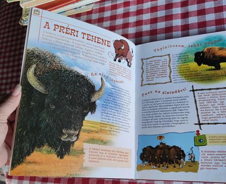 Állatkölykök tappancs könyvek,