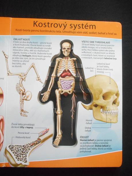 Kniha pozrite sa, ako vnútri vyzerá - ľudské telo,