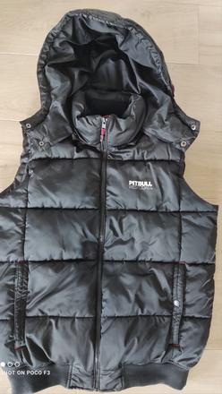 Pitbull vesta, l