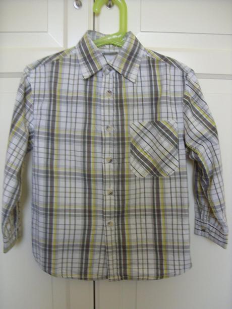 Kosela, palomino,116