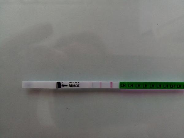 Ovulačný test - už sa to blíži?