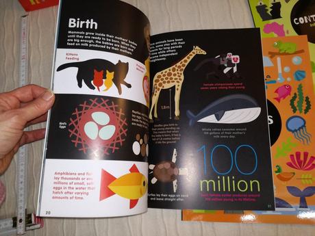 Infographics set x6, 