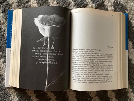 Pomstiteľ, flirtovanie s petrom, výročie..(2005), 