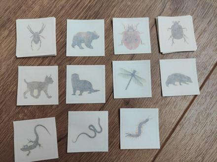 Tetovacky sprievodca prirodou,