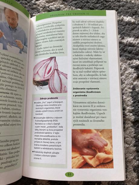 Detoxikácia (2004),