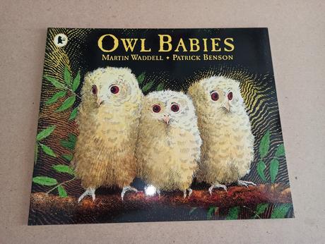 Martin waddell - owl babies, 