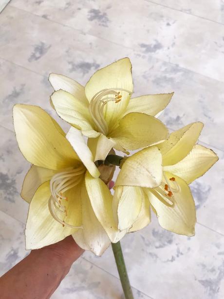 Umelý kvet klívia, 