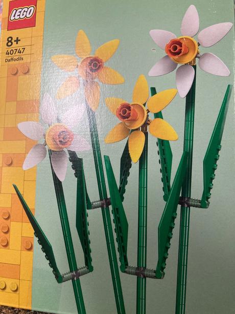 Lego kvety 40747, 