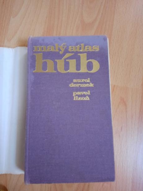 Kniha huby,
