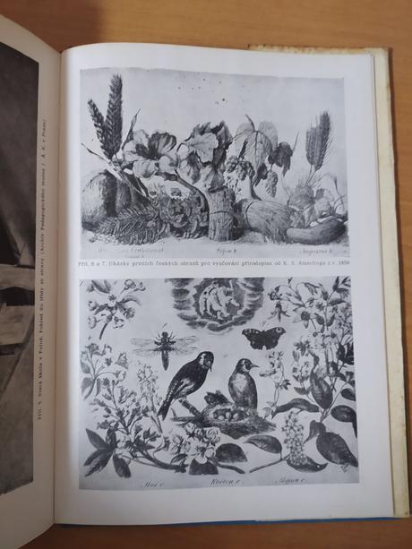 Metodika prírodopisu (1964), 