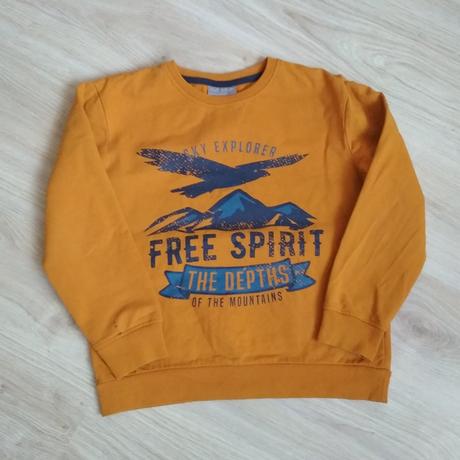 Chlapčenská mikina v. 146/152, pepco,146