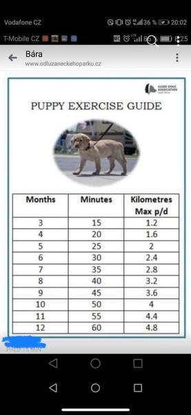 Riadite sa bežeckou tabuľkou?