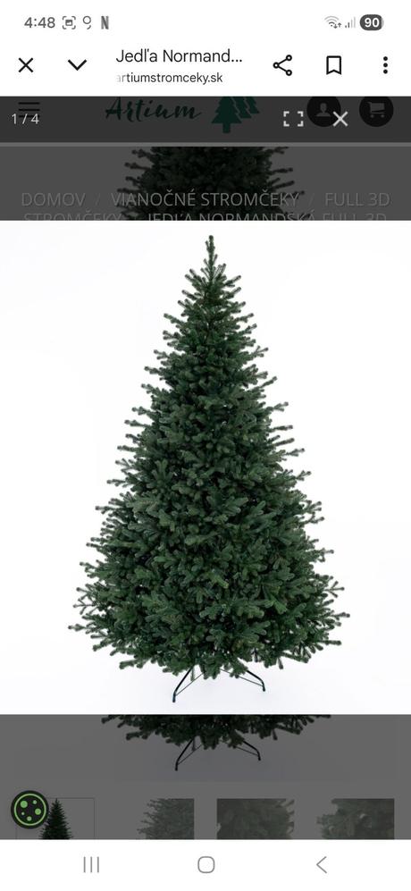 Krasna jedľa normandska, 