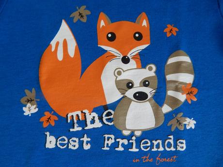 Tričko s dlhým rukávom, lupilu,74