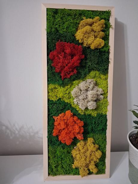 Machový obraz záhon, 