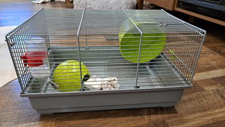 Klietka pre škrečka, 