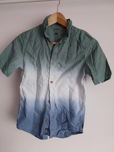 Kosela letna, f&f,146