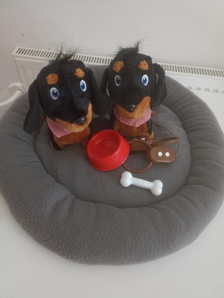 Interaktívne psíky, 