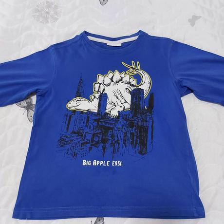 Tričko s dinosaurom, 134