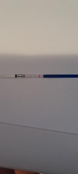 Budem mať ovuláciu?