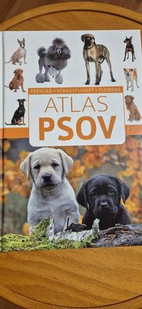 Atlas psov, 