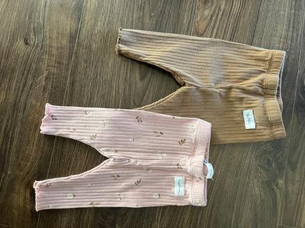 Leginy 62, sinsay,62