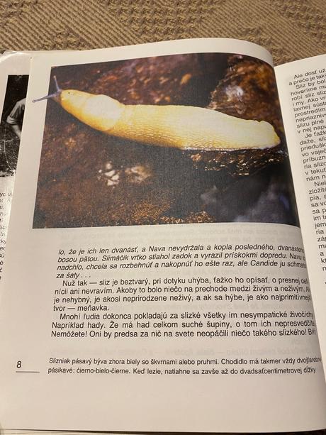 Život v schránke mikuláš j. lisický slimáky ulity, 