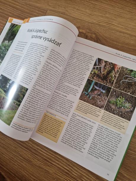 Svojtka kvitnúca záhrada, 