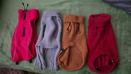 Oblecenie pre psika mendieho vzrastu, 