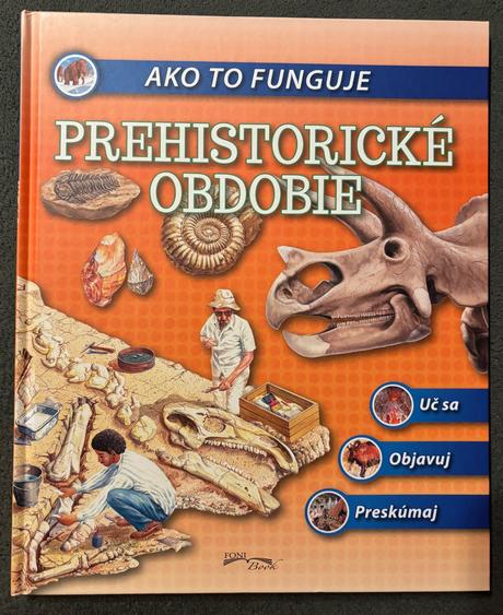 Kniha - prehistorické obdobie, 