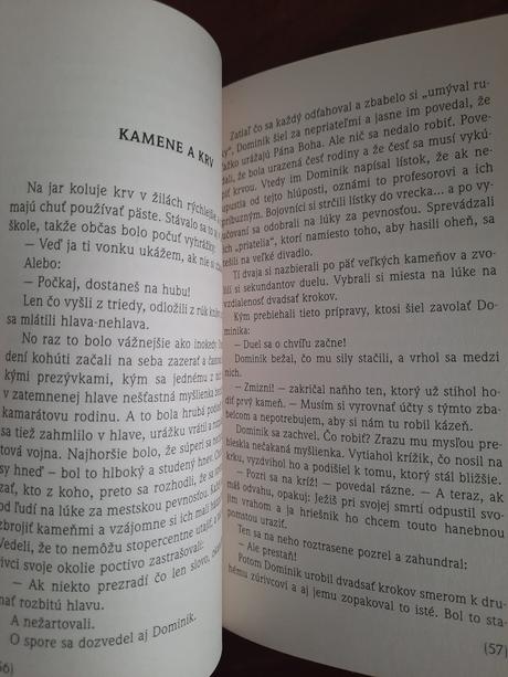 Dominik savio (t. bosco), 