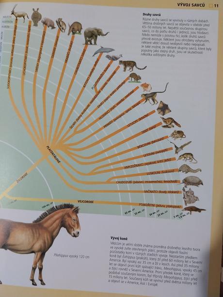 Encyklopedia zvierat,