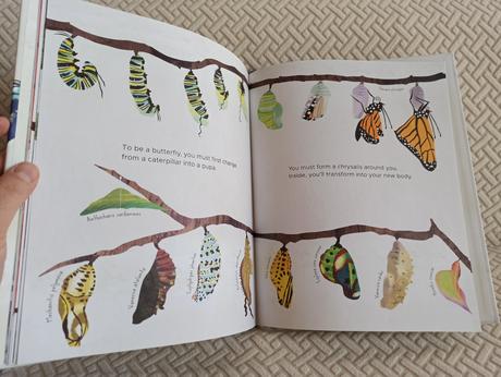 Laura knowles - how to be a butterfly hb, 
