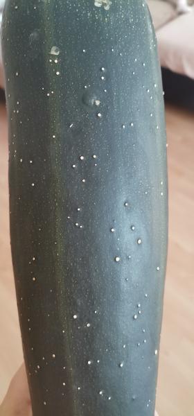 Bodky na cukete: Je bezpečné ju zjesť?