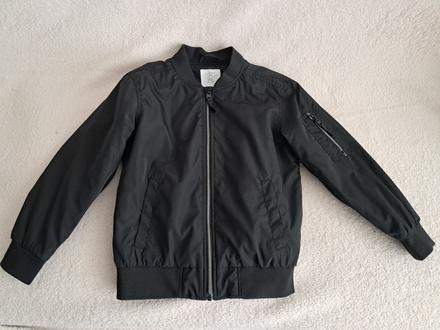 Bombera lindex, lindex,134