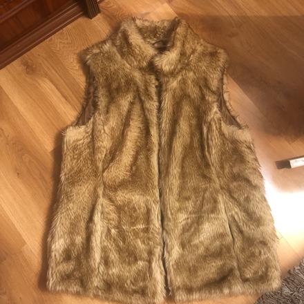 Kožušinova vesta, 46