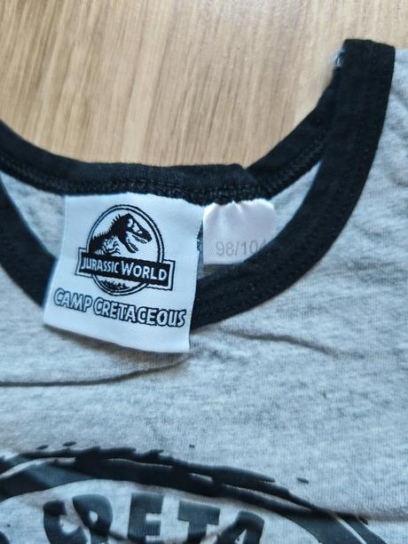 Tielko dinosaurus, 98