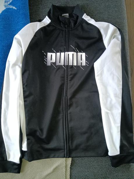 Predam, puma,158