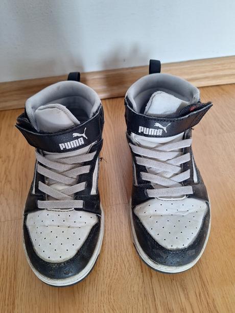 Botasky puma, puma,32