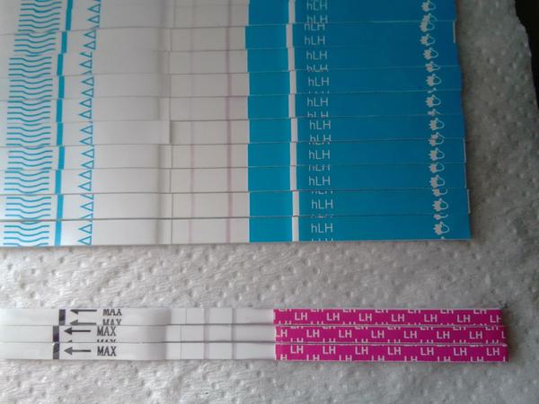 Ako správne interpretovať výsledky ovulačných testov?