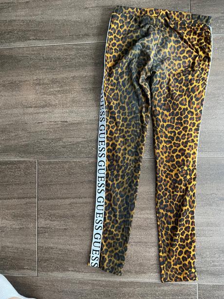 Leginy guess, guess,140