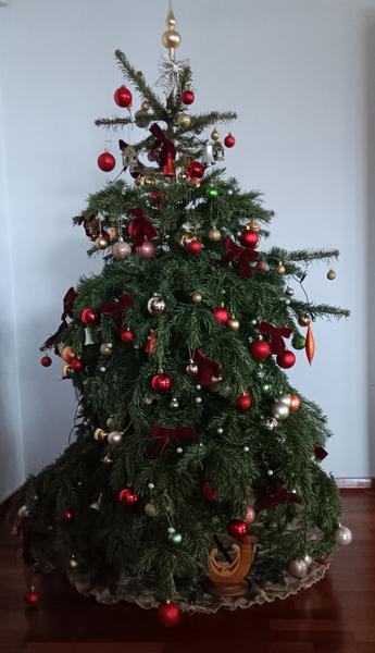 Máte doma smutnú jedličku?