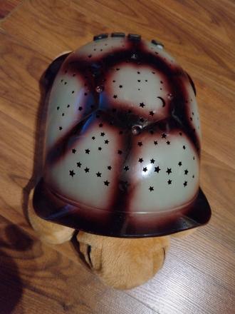 Svietiaca korytnačka,