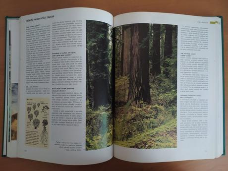 Abc prírody - svet v otázkach a odpovediach (1997), 